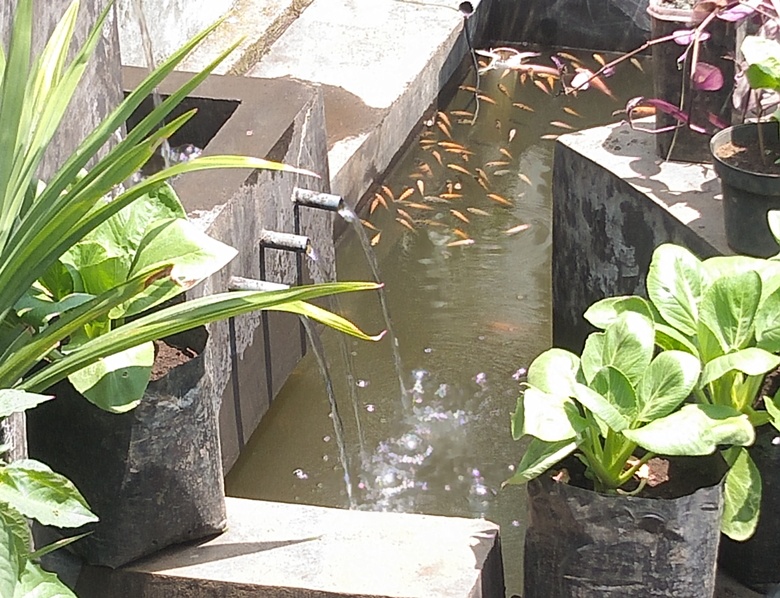 pancuran tenaga matahari